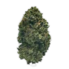 THCP London Pound Cake