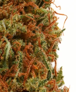 Gâteau de mariage THC-Blüte