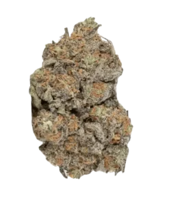 THCP Lava Cake