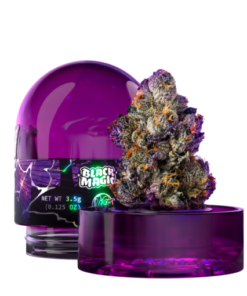 Arbres sorciers : Magie noire