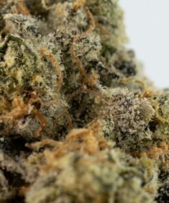 ANIMAL FACE Weed